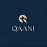 Qaani Instagram profile photo